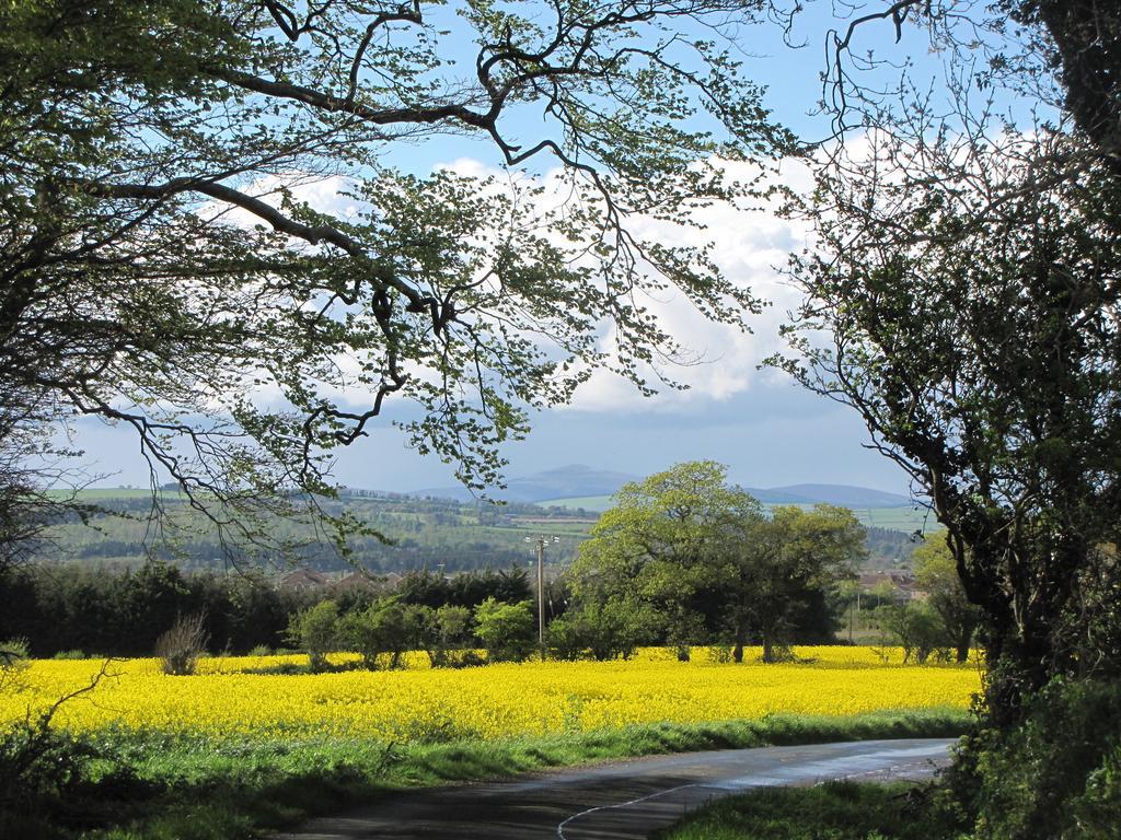 Moneylands Farm B&B 阿克洛 外观 照片